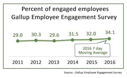 The Employee Engagement Disconnect_IB_Gallup Survey_IB.jpg
