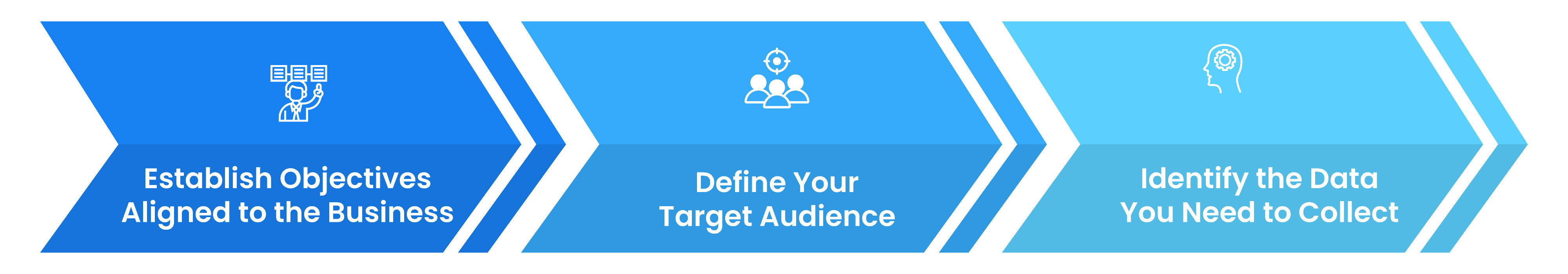 Establish Objectives, Define Target Audience and Identify the Data For Collection