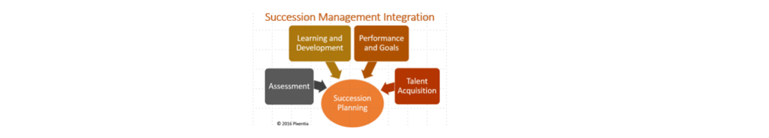 succession_management_integration