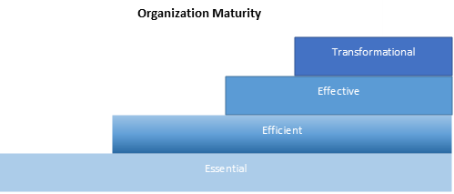 Organization Maturity