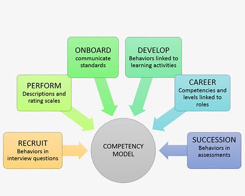 Why You Need Competencies for Talent Management